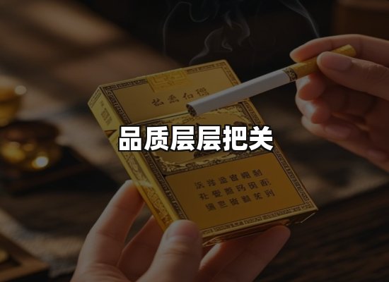 专业优势